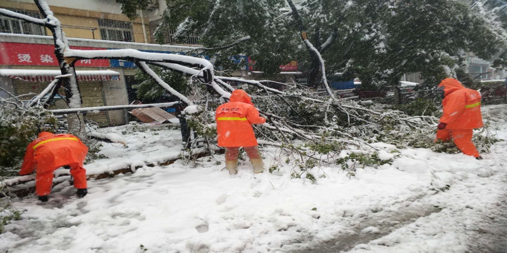 新站區(qū)道路清掃保潔、綠化管養(yǎng)項目